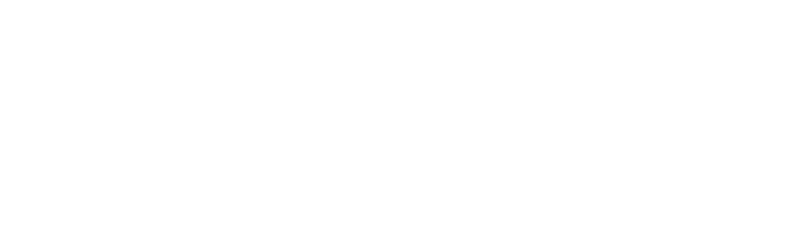 bluum wordmark white rgbx